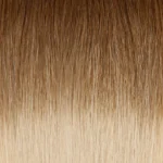 Ombre Chocolate Brown (#4) to Dirty Blonde (#19C)