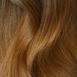 Ombre Espresso (#1C) to Chestnut Brown (#6C)